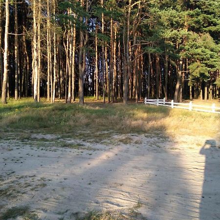 Квартира В Шацьку Εξωτερικό φωτογραφία